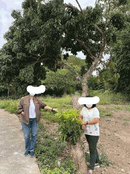 ขายที่ดินปล่า ต.ท่าศาลา อ.เมืองเชียงใหม่ 3 งาน 19 ตรว ถมแล้ว เหมาะการสร้างบ้านครับ บรรยากาศดี สงบ ส่วนตัว